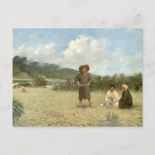 Cartão Postal 'Laboratórios Japoneses, Maui' - Cartão-postal