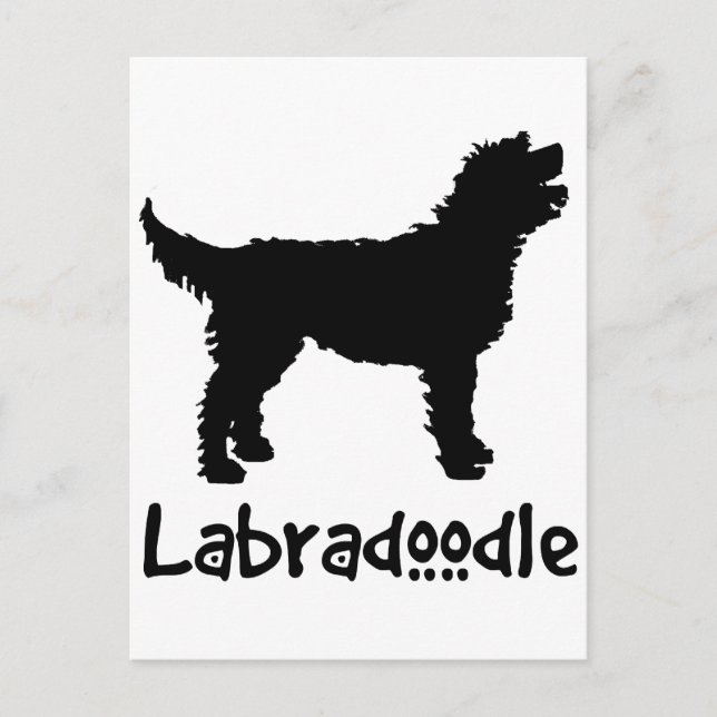 Cartão Postal Labradoodle com texto Legal (Frente)
