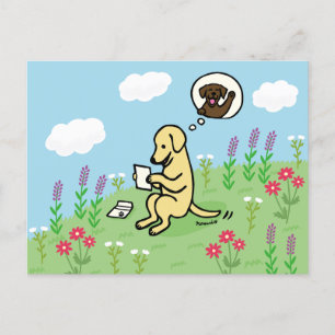 Cartão Postal Labrador Amarelo e Carta de um Amigo