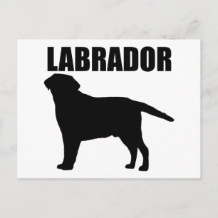 Cartão Postal Labrador Dons!