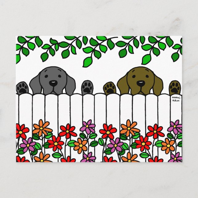 Cartão Postal Labrador Duo te observando (Frente)