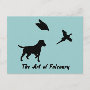 Cartão Postal Labrador e Falconry
