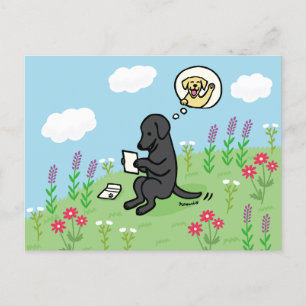 Cartão Postal Labrador Negro e Carta de um Amigo
