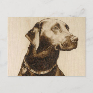 Cartão Postal Labrador preto