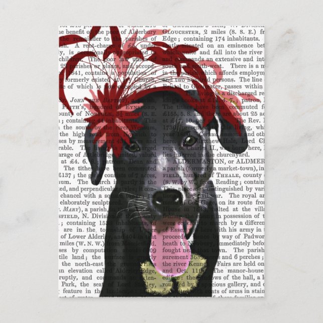 Cartão Postal Labrador Preto Com Fascinador Vermelho (Frente)