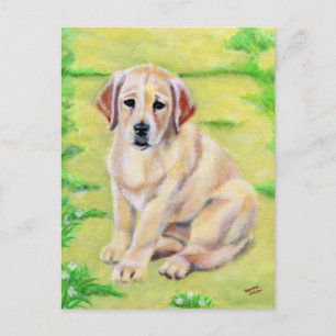 Cartão Postal Labrador Puppy Amarelo