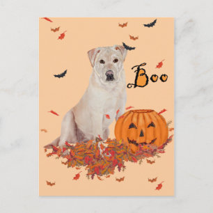 Cartão Postal Labrador Retriever Amarelo de Halloween