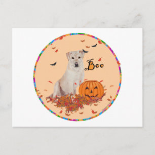 Cartão Postal Labrador Retriever Amarelo de Halloween