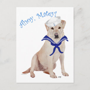 Cartão Postal Labrador Retriever Amarelo Marinheiro