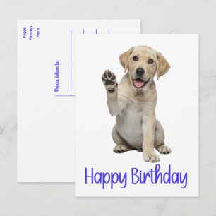 Cartão Postal Labrador Retriever Cachorro Amarelo Filhote de Cac