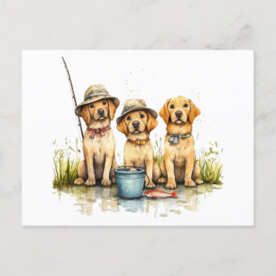 Cartão Postal Labrador Retriever Cães Pesca