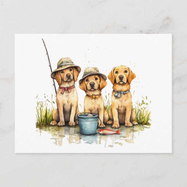Cartão Postal Labrador Retriever Cães Pesca (Frente)