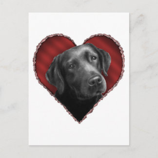 Cartão Postal Labrador Retriever com Heart