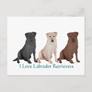Cartão Postal Labrador Retriever Marinheiro Post - Personalizad