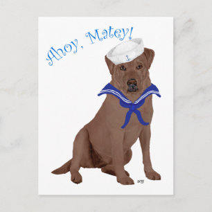 Cartão Postal Labrador Retriever Marrom Chocolate