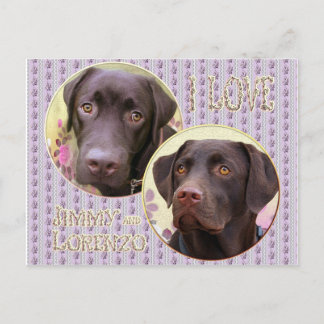 Cartão Postal Labrador Retriever Postkarte