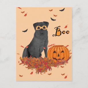 Cartão Postal Labrador Retriever Preto no Halloween
