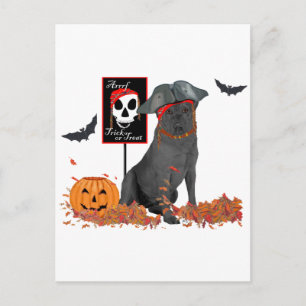 Cartão Postal Labrador Retriever Preto Pirata