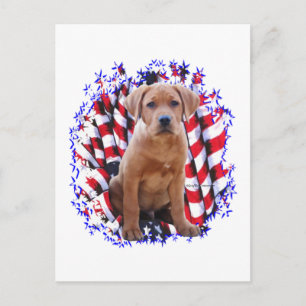 Cartão Postal Labrador Retriever (vermelho) Patriot