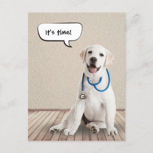 Cartão Postal Labrador Retriever Withe Stethoscope