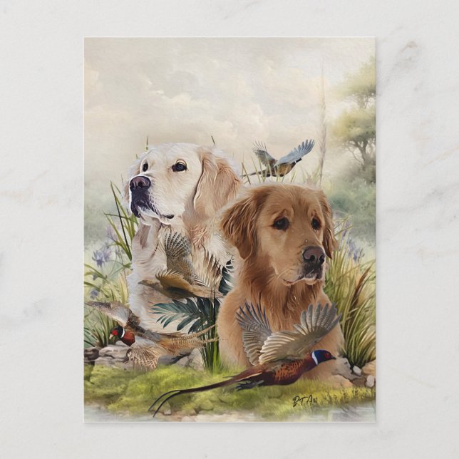 Cartão Postal Labrador Retrievers com Faisão, Arte (Frente)
