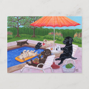 Cartão Postal Labradores do Partido piscina 2 Pintura