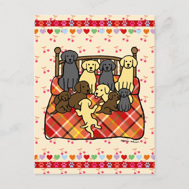 Cartão Postal Labradores na cama Rei Tamanho (Frente)