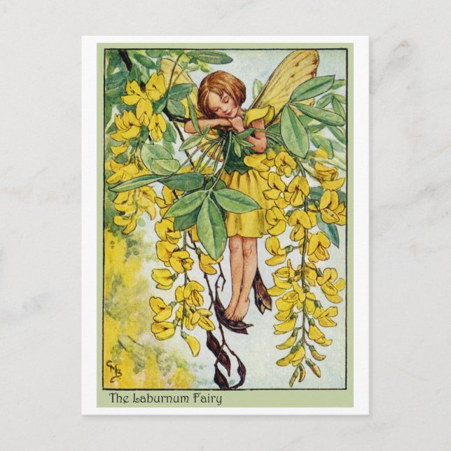 Cartão Postal Laburnum Fairy (Frente)