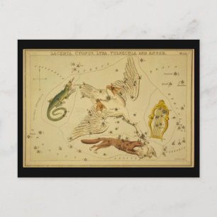 Cartão Postal Lacerta, Cygnus, Lyra, Vulpecula e Anser
