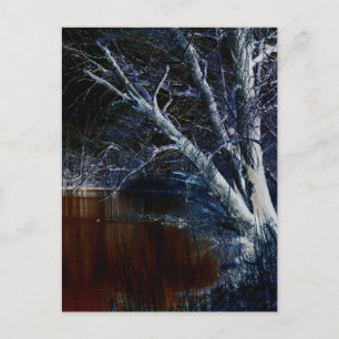 Cartão Postal Lado Escuro 7 pcna