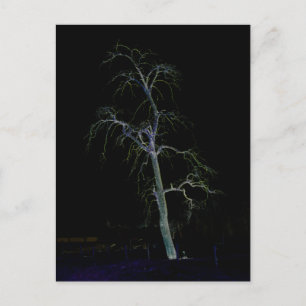 Cartão Postal Lado Escuro 8 pccnm