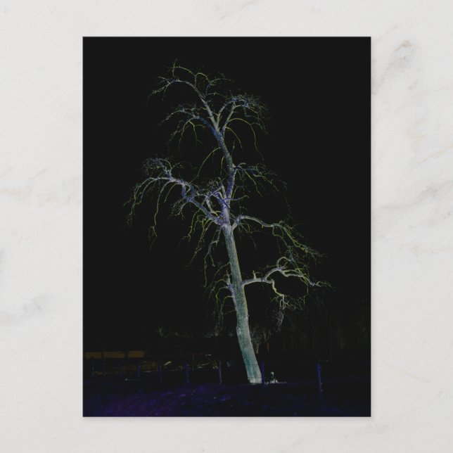 Cartão Postal Lado Escuro 8 pccnm (Frente)