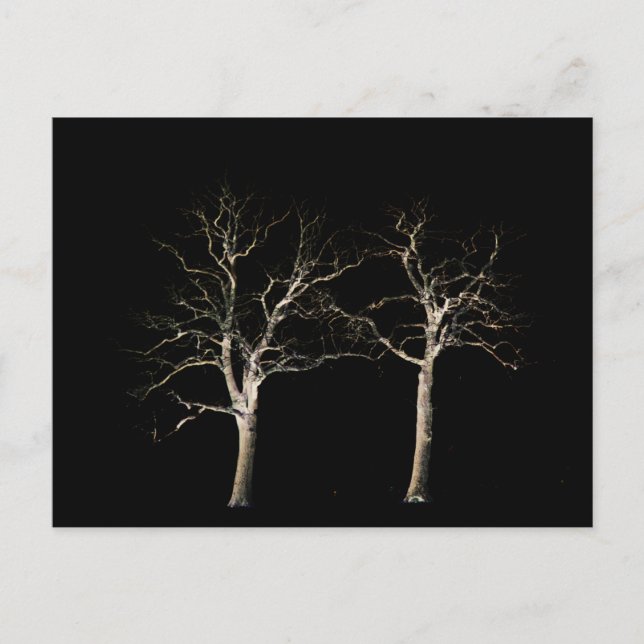 Cartão Postal Lado escuro 9 pccnm (Frente)