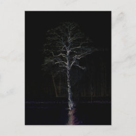 Cartão Postal Lado Negro 3 pccnm