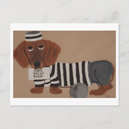 Cartão Postal Ladra de Petiscos Dachshund Presidiária