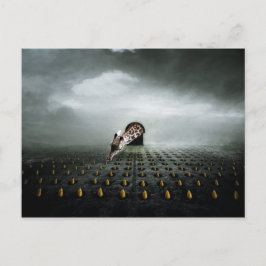 Cartão Postal ladrão 2 da tulipa 2013