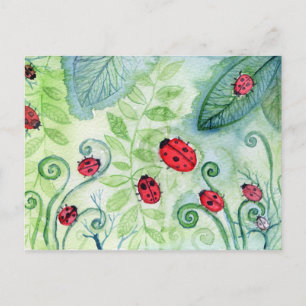 Cartão Postal Ladybird