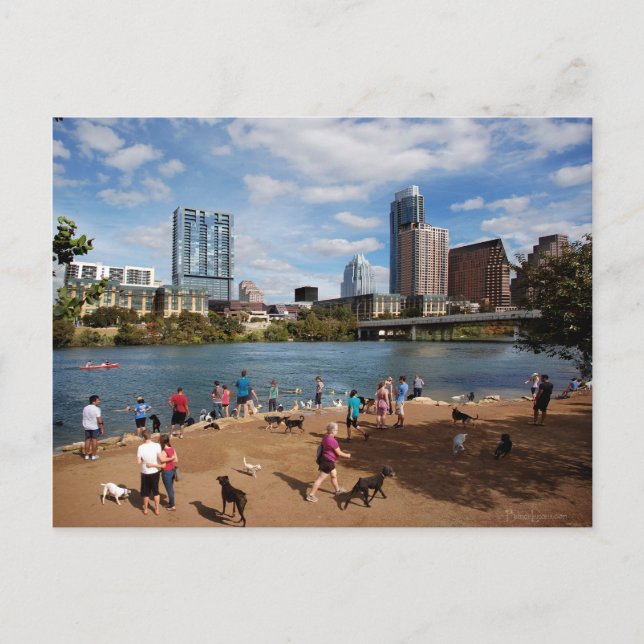 Cartão Postal Ladybird Lake Dog Park Austin Texas Skyline (Frente)