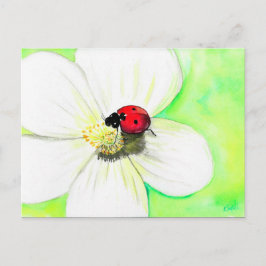 Cartão Postal Ladybird num Cartão-postal de pintura de Flor Bran