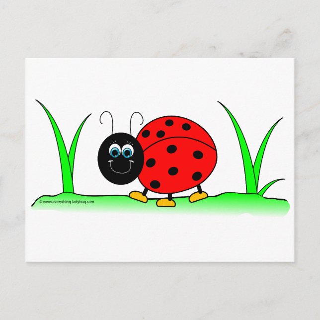 Cartão postal Ladybug (Frente)