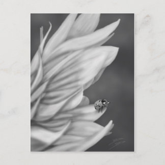 Cartão Postal Ladybug