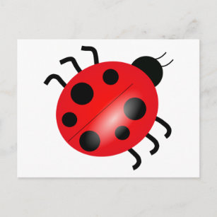 Cartão Postal Ladybug - Ladybird