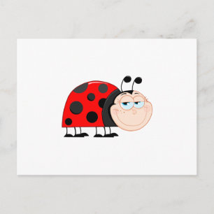 Cartão Postal Ladybug Ladybugs Inseto Insetos Insetos Engraçado