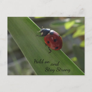 Cartão Postal Ladybug no Leaf e mantenha-se forte no cartão-post