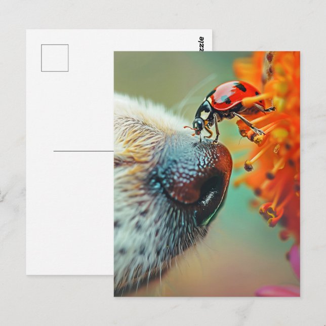 Cartão Postal Ladybug no nariz de um cão, posto (Frente/Verso)
