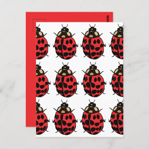 Cartão Postal Ladybug Red Black Insett Ladybug
