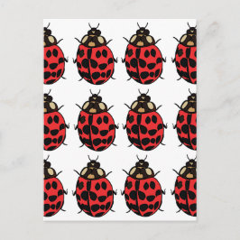 Cartão Postal Ladybug Red Black Insett Ladybug