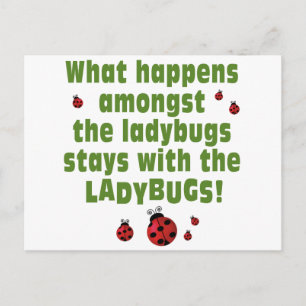 Cartão Postal Ladybugs