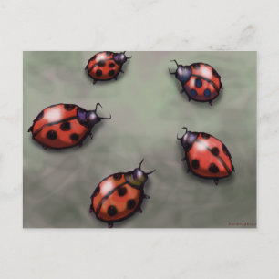 Cartão Postal Ladybugs