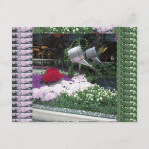 Cartão Postal LadyBugs, Parque da Borboleta de Las Vegas